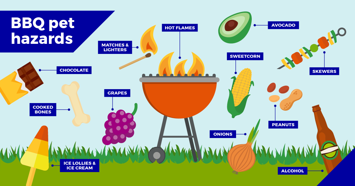 Barbecues and your pets - things to consider