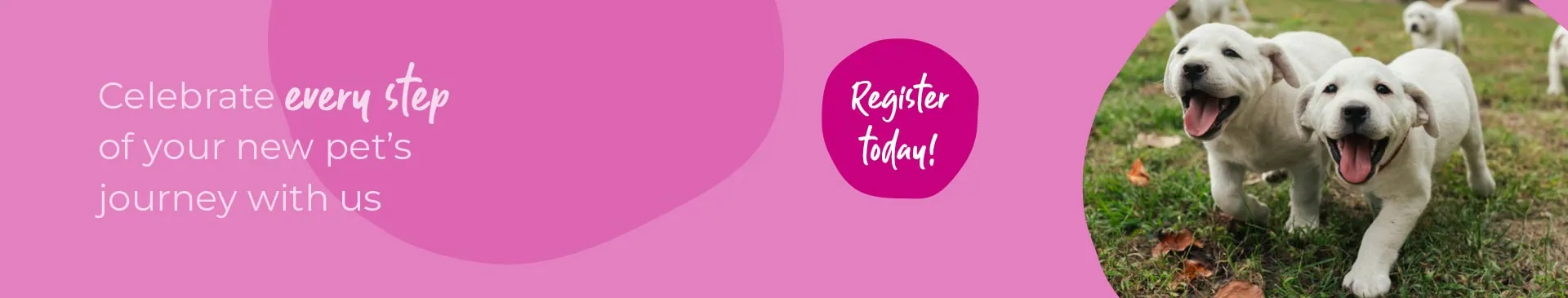 Start of Life for Your Puppy or Kitten