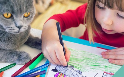 Animal activities to keep your children occupied