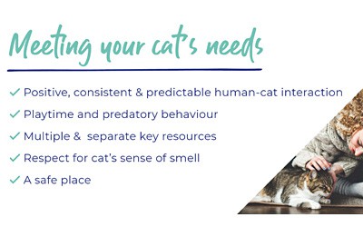 Caring for your cat - An owner's guide