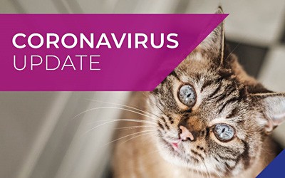 Hawick Vets COVID-19 (Coronavirus) 18th May Update