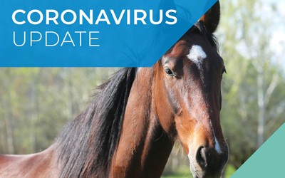 Horse Owners & Trainers COVID-19 (Coronavirus) 14th April Update