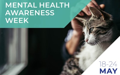 How owning a pet can be good for your mental health