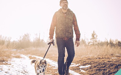 January is National Walk Your Dog Month