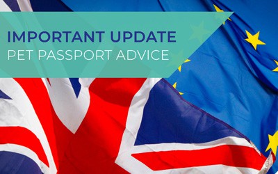 Pet travel to Europe from 1 January 2021