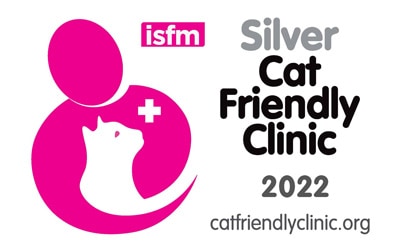 Silver Cat Friendly Clinic in Hawick