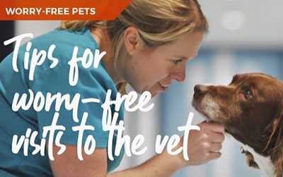 Tips for worry-free visits to the vets