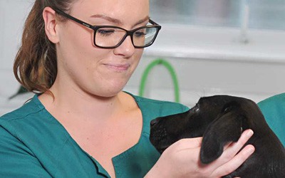 Veterinary Nurse Awareness Month Nurse Profile – Stacey Brown
