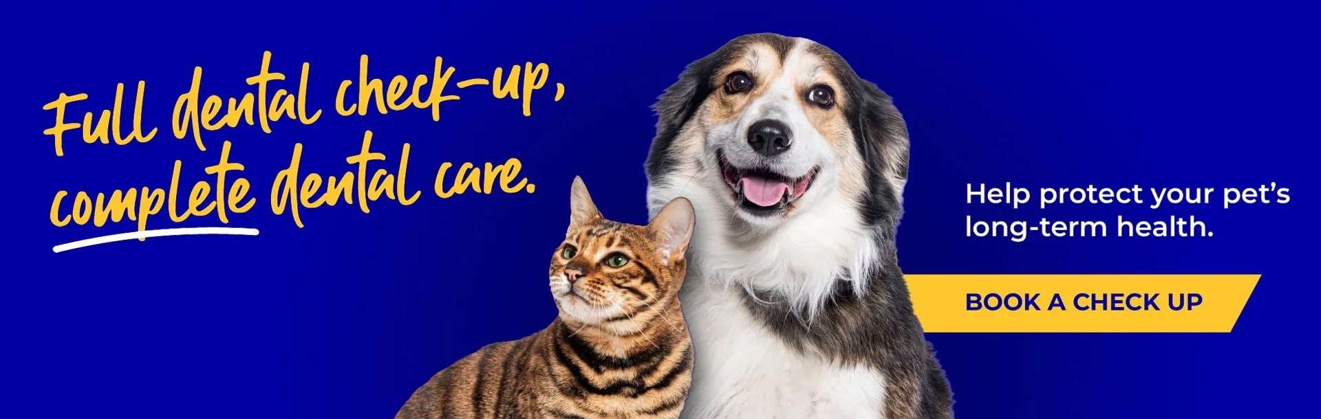 Hawick Vets | Small Animal Vet | Farm Vets