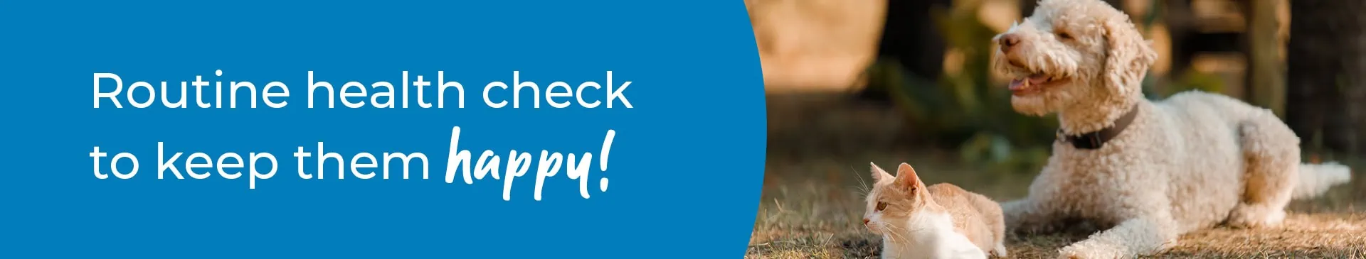 Pet Health Check in Hawick | Preventative Vet Care