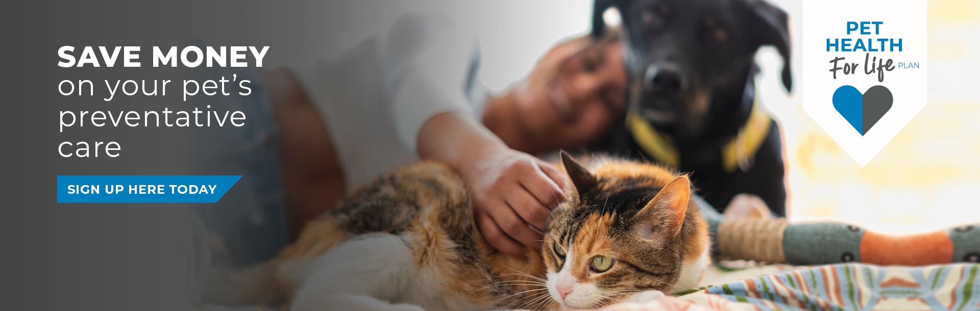 Hawick Vets Small Animal Vet Farm Vets Equine Vets