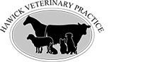 Hawick Vets Logo